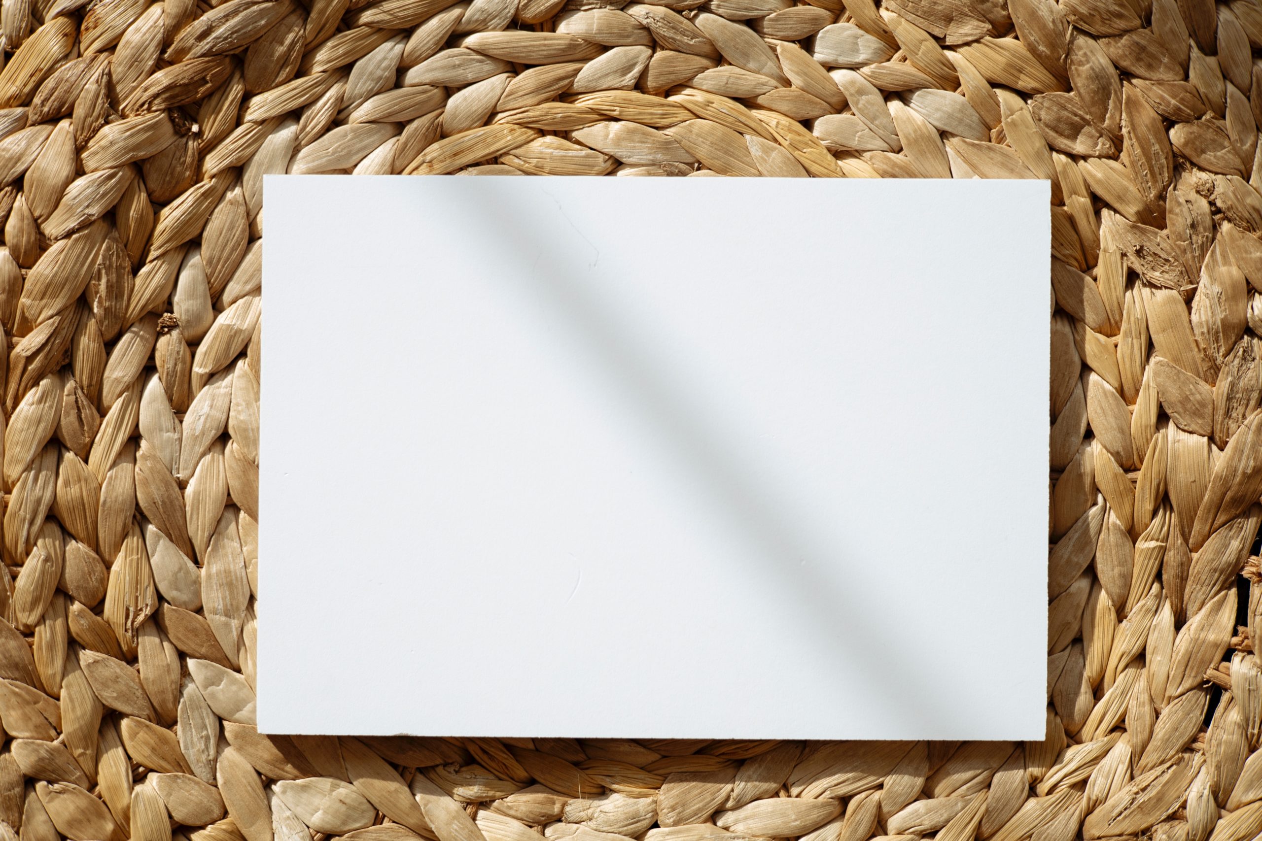 Chemical Products Used for Pulp and Paper Processing